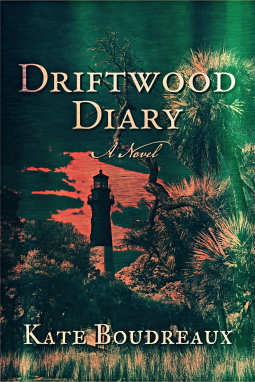book cover for Driftwood Diary