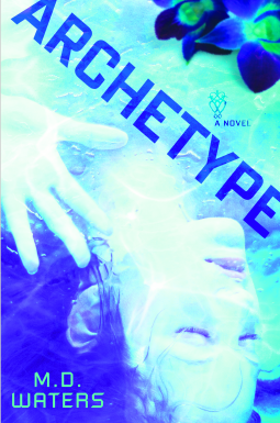 book cover for ARCHETYPE