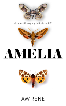 book cover for Amelia