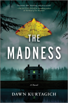 book cover for The Madness