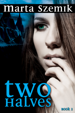 book cover for Two Halves