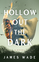 book cover for Hollow Out the Dark