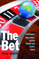 book cover for The Bet