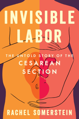 book cover for Invisible Labor