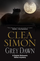 book cover for Grey Dawn