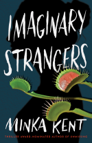 book cover for Imaginary Strangers