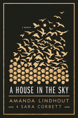 book cover for A House in the Sky