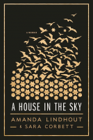 book cover for A House in the Sky