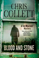 book cover for BLOOD AND STONE