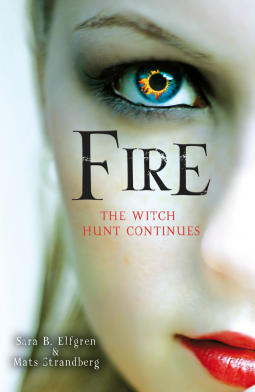 book cover for Fire
