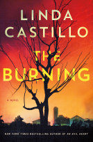 book cover for The Burning
