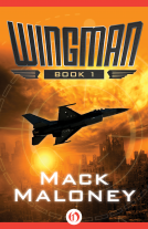 book cover for Wingman