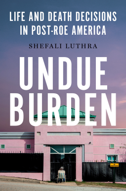 book cover for Undue Burden