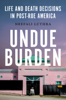 book cover for Undue Burden