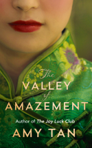 book cover for The Valley of Amazement