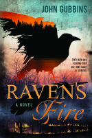 book cover for Raven's Fire