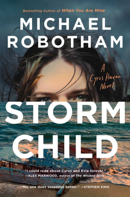 book cover for Storm Child