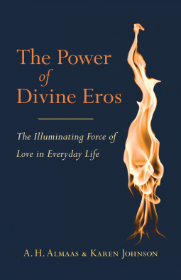 book cover for The Power of Divine Eros