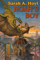 book cover for Noah's Boy
