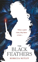 book cover for The Black Feathers
