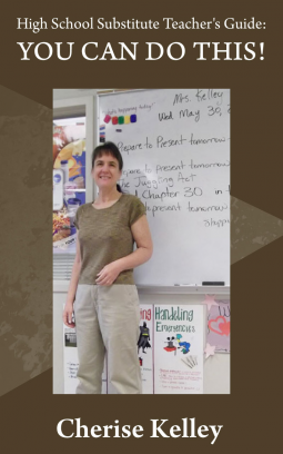 book cover for High School Substitute Teacher's Guide: YOU CAN DO THIS!