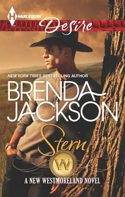 book cover for Stern
