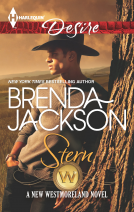 book cover for Stern