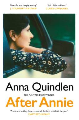 book cover for After Annie