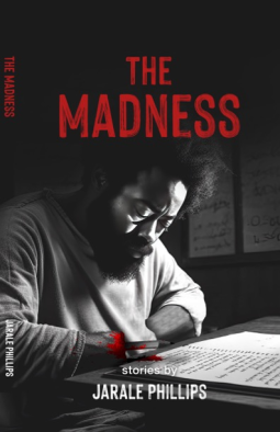 book cover for The Madness