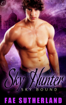 book cover for Sky Hunter
