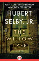 book cover for The Willow Tree