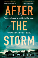 book cover for After the Storm