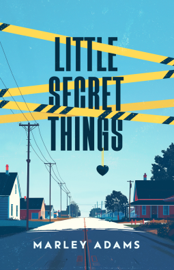 book cover for Little Secret Things