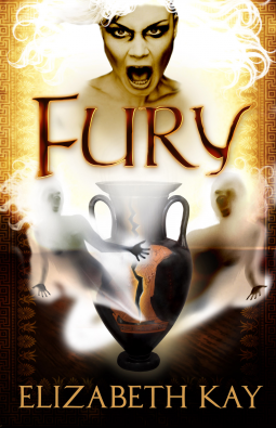 book cover for Fury