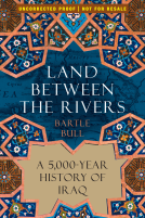 book cover for Land Between the Rivers