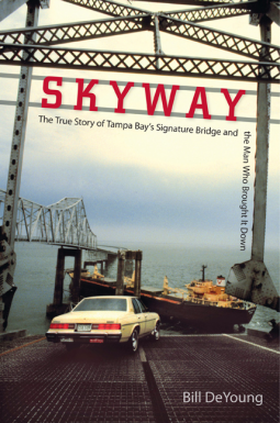 book cover for Skyway