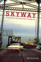 book cover for Skyway