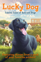 book cover for Lucky Dog