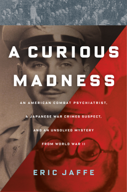 book cover for A Curious Madness