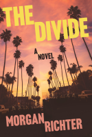 book cover for The Divide