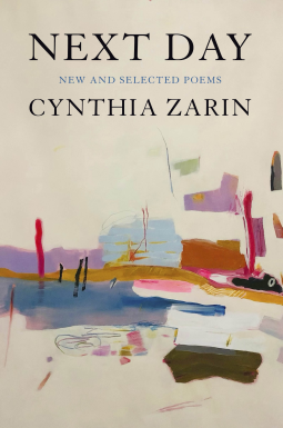 book cover for Next Day