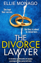 book cover for The Divorce Lawyer