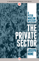 book cover for The Private Sector