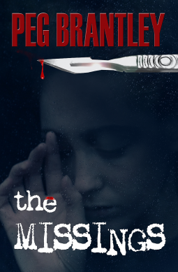 book cover for The Missings