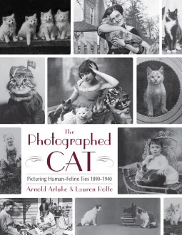 book cover for The Photographed Cat