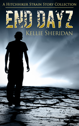 book cover for End Dayz