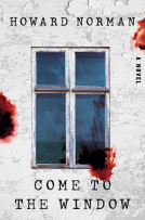book cover for Come to the Window