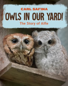 book cover for Owls in Our Yard!