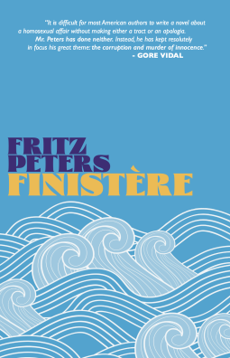 book cover for Finistère