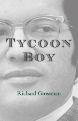 book cover for Tycoon Boy
